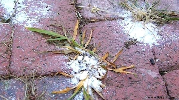 8 Proven Natural Weed Killers: Safe, Eco-Friendly Garden Tips from Years of Experience