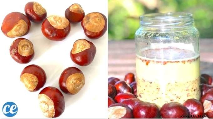 10 Versatile Uses for Horse Chestnuts: Natural Cleaners, Skincare, and Remedies