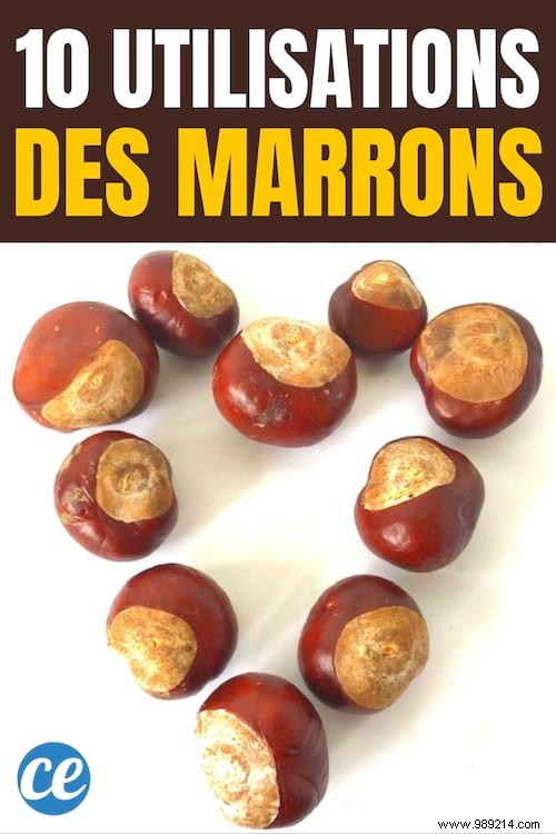 10 Versatile Uses for Horse Chestnuts: Natural Cleaners, Skincare, and Remedies