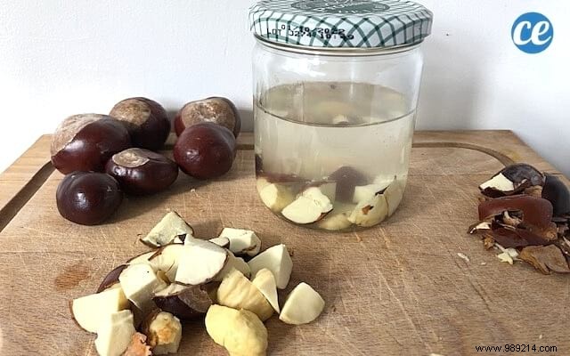 10 Versatile Uses for Horse Chestnuts: Natural Cleaners, Skincare, and Remedies