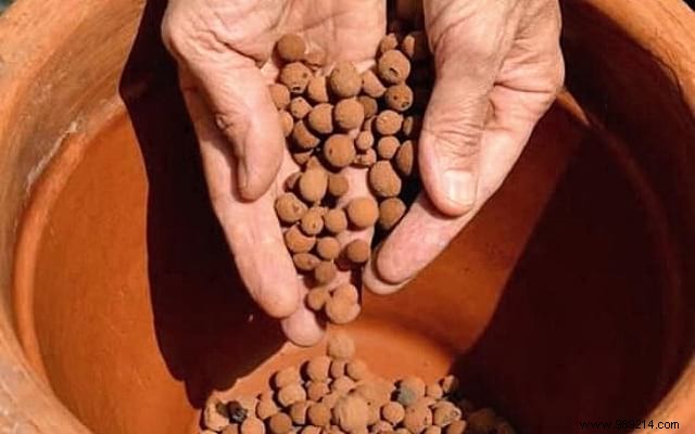 9 Proven Gardening Tips to Cut Watering Needs by 50%