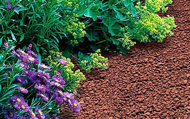 9 Proven Gardening Tips to Cut Watering Needs by 50%