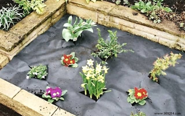 9 Proven Gardening Tips to Cut Watering Needs by 50%