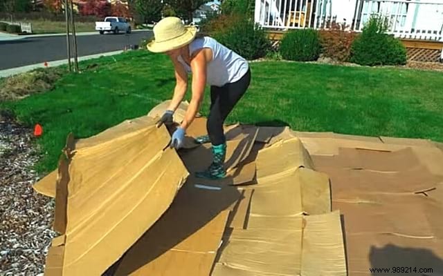 9 Proven Gardening Tips to Cut Watering Needs by 50%