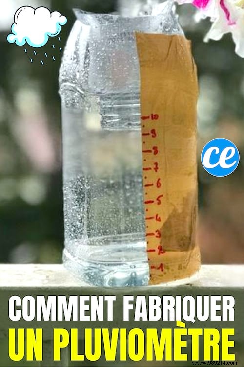 DIY Rain Gauge: Measure Rainfall Accurately and Save Water in Your Garden