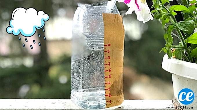 DIY Rain Gauge: Measure Rainfall Accurately and Save Water in Your Garden