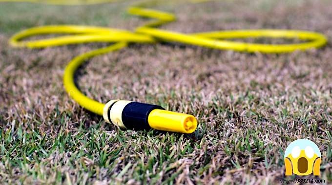 How to Create a Drought-Resistant Garden with DIY Terracotta Ollas