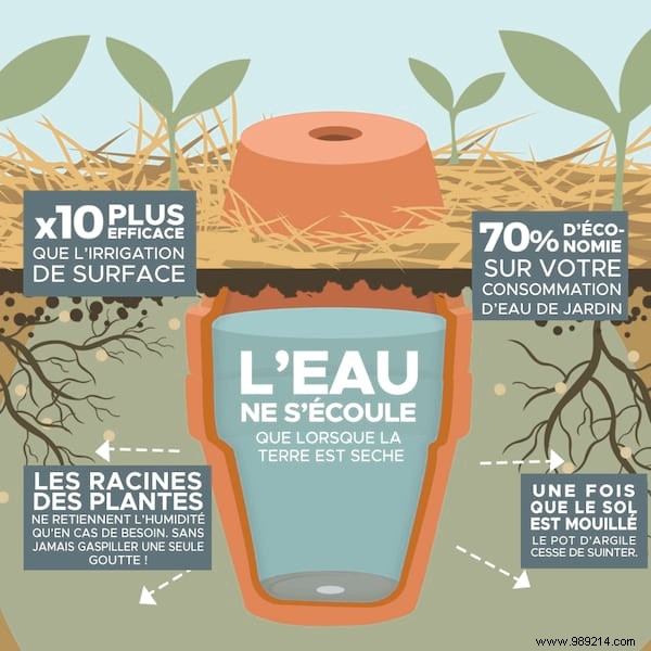 How to Create a Drought-Resistant Garden with DIY Terracotta Ollas