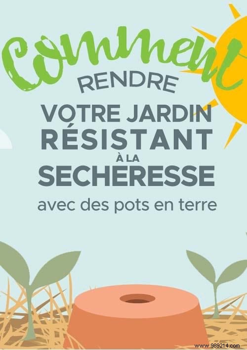 How to Create a Drought-Resistant Garden with DIY Terracotta Ollas