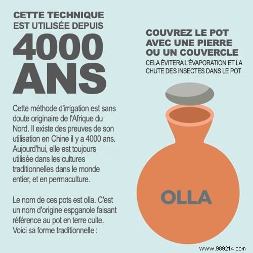 How to Create a Drought-Resistant Garden with DIY Terracotta Ollas