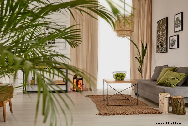 20 Proven Tips to Revive Dying Houseplants: Expert Gardening Advice