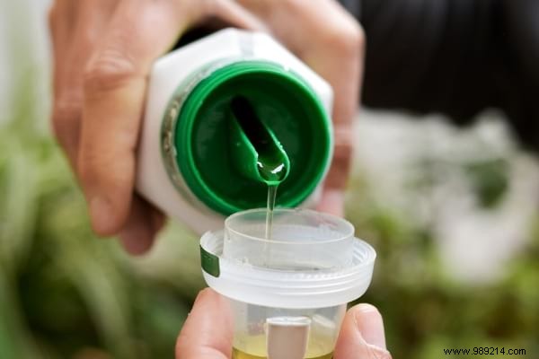 20 Proven Tips to Revive Dying Houseplants: Expert Gardening Advice