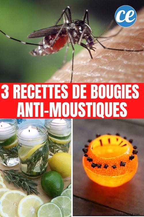 3 Proven DIY Mosquito Repellent Candle Recipes Using Natural Ingredients