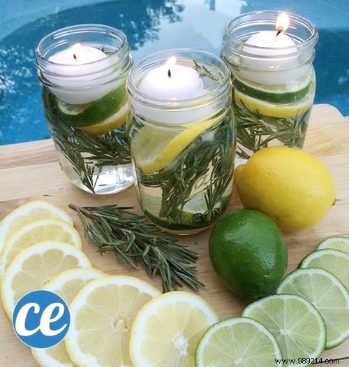 3 Proven DIY Mosquito Repellent Candle Recipes Using Natural Ingredients