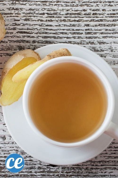 26 Easy-to-Grow Herbs for Delicious Homemade Herbal Teas