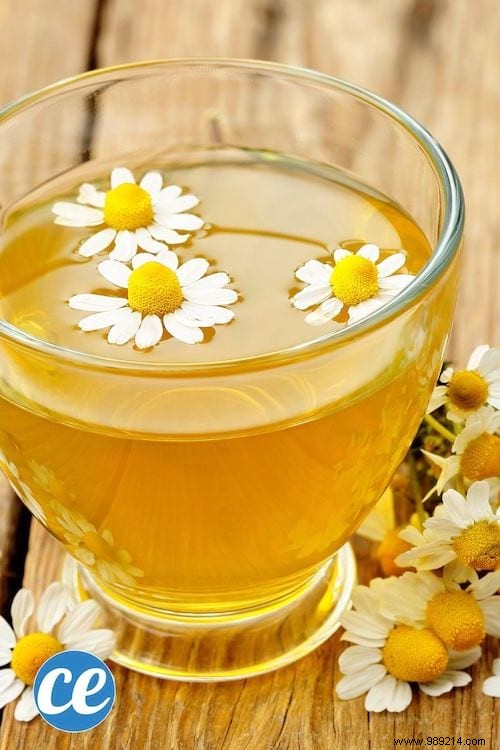 26 Easy-to-Grow Herbs for Delicious Homemade Herbal Teas