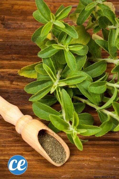 26 Easy-to-Grow Herbs for Delicious Homemade Herbal Teas