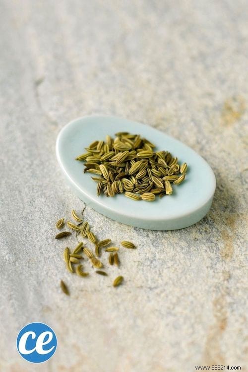 26 Easy-to-Grow Herbs for Delicious Homemade Herbal Teas