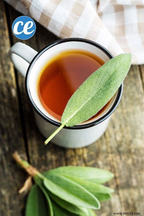 26 Easy-to-Grow Herbs for Delicious Homemade Herbal Teas