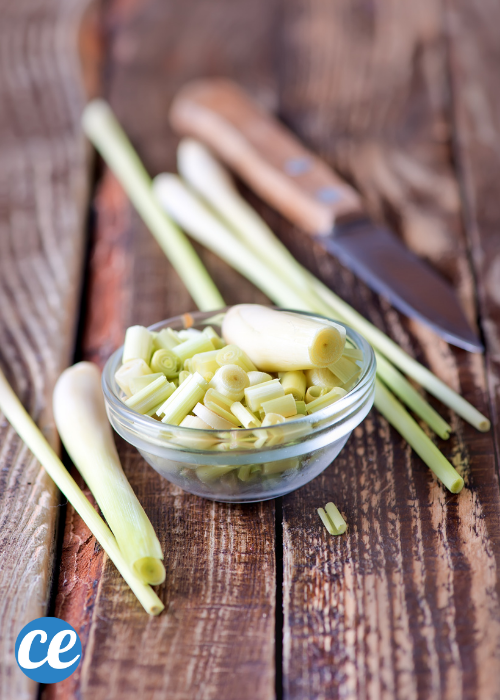 26 Easy-to-Grow Herbs for Delicious Homemade Herbal Teas