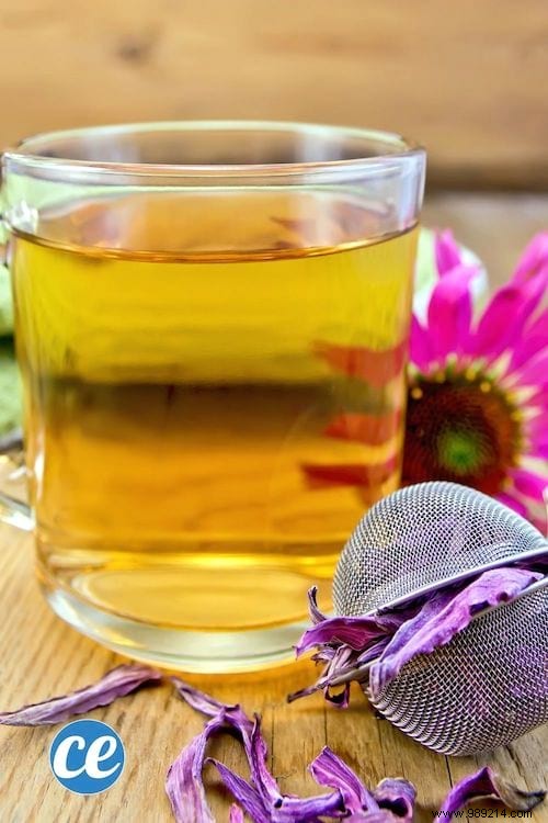 26 Easy-to-Grow Herbs for Delicious Homemade Herbal Teas