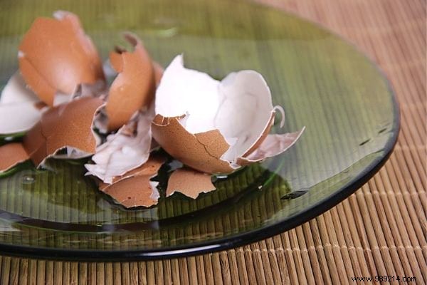 15 Genius Ways to Reuse Eggshells: Transform Waste into Garden Gold, Home Hacks, and Natural Nutrition
