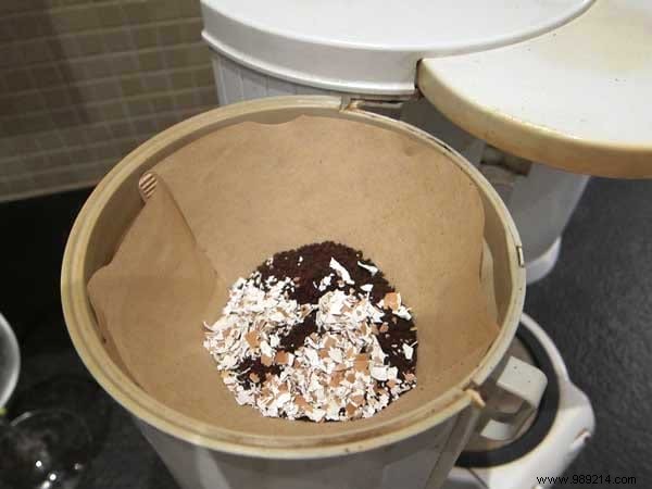 15 Genius Ways to Reuse Eggshells: Transform Waste into Garden Gold, Home Hacks, and Natural Nutrition