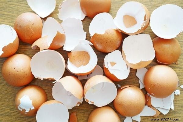 15 Genius Ways to Reuse Eggshells: Transform Waste into Garden Gold, Home Hacks, and Natural Nutrition