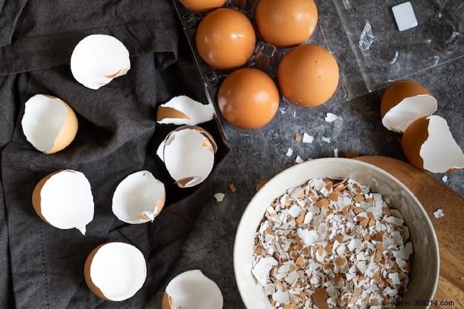 15 Genius Ways to Reuse Eggshells: Transform Waste into Garden Gold, Home Hacks, and Natural Nutrition