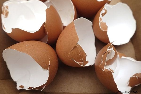 15 Genius Ways to Reuse Eggshells: Transform Waste into Garden Gold, Home Hacks, and Natural Nutrition