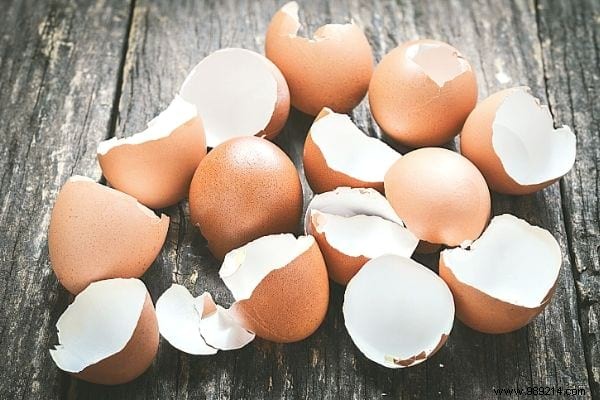 15 Genius Ways to Reuse Eggshells: Transform Waste into Garden Gold, Home Hacks, and Natural Nutrition