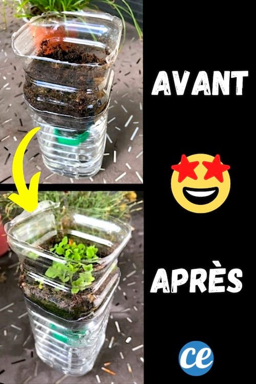 DIY Self-Watering Seedling Pots: Easy Recycled Bottle Hack for Consistent Moisture