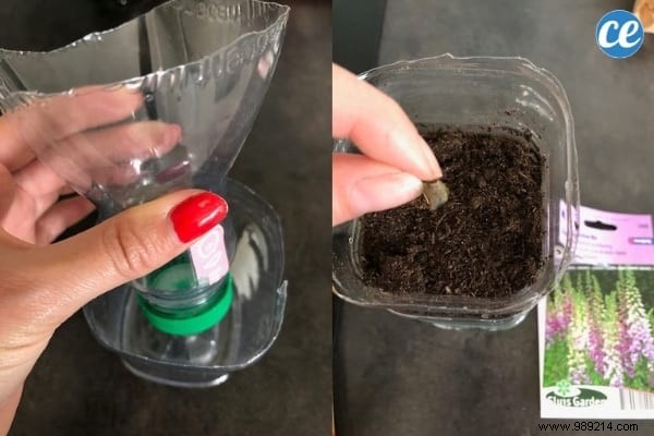 DIY Self-Watering Seedling Pots: Easy Recycled Bottle Hack for Consistent Moisture