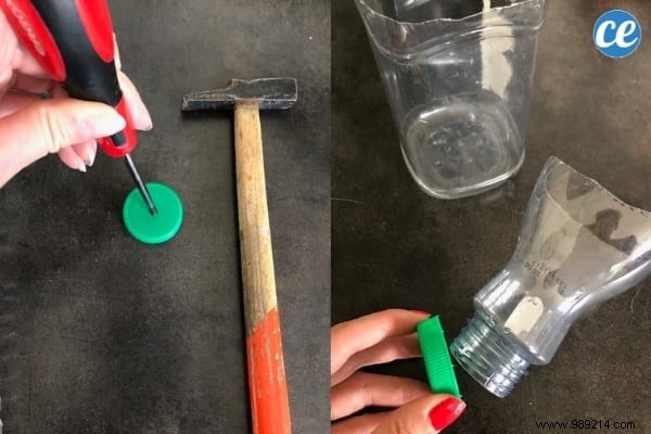 DIY Self-Watering Seedling Pots: Easy Recycled Bottle Hack for Consistent Moisture