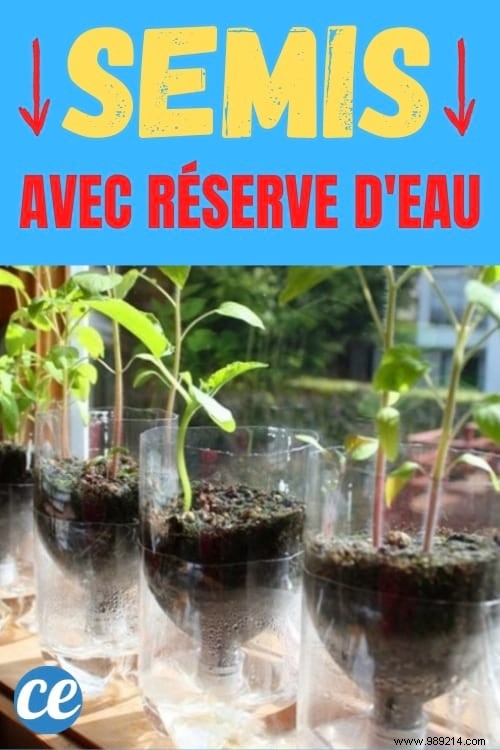 DIY Self-Watering Seedling Pots: Easy Recycled Bottle Hack for Consistent Moisture