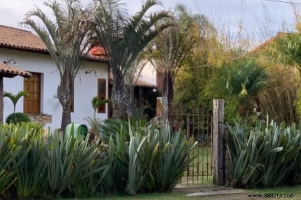 17 Low-Maintenance Shrubs for Fast-Growing, Effortless Garden Hedges