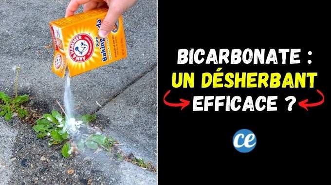 Baking Soda as a Natural Weed Killer: Proven Methods, Tips, and Precautions