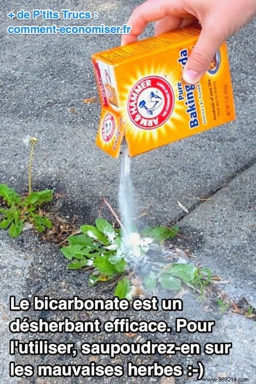 Baking Soda as a Natural Weed Killer: Proven Methods, Tips, and Precautions