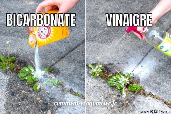 Baking Soda as a Natural Weed Killer: Proven Methods, Tips, and Precautions