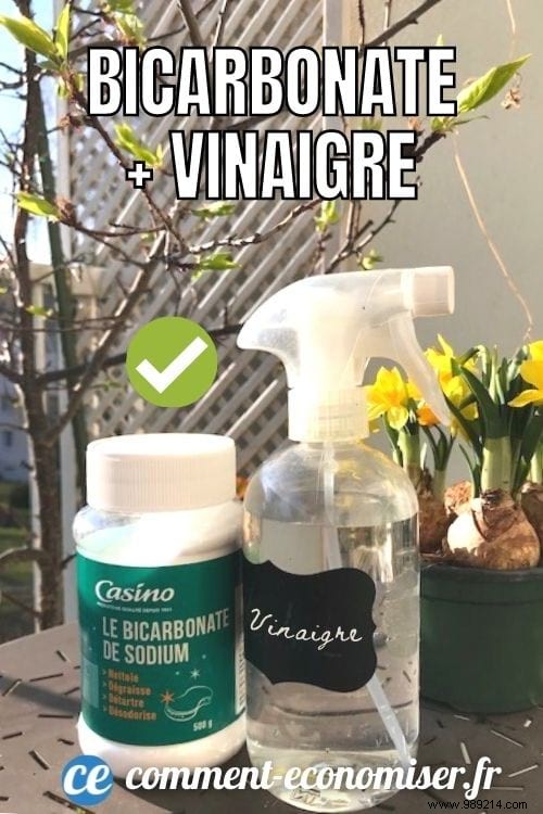 Baking Soda as a Natural Weed Killer: Proven Methods, Tips, and Precautions