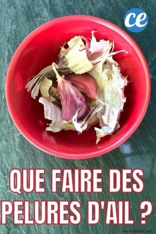 2 Genius Ways to Use Garlic Peels in Your Garden: Deworm Poultry and Repel Aphids Naturally