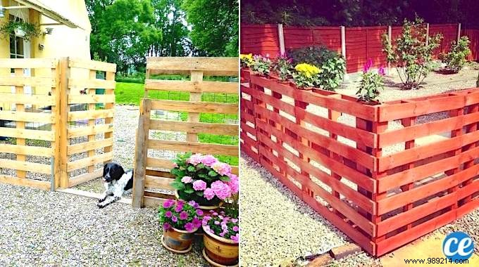 Build a Free DIY Pallet Fence: 4 Simple Steps from an Experienced Gardener