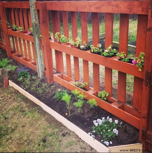 Build a Free DIY Pallet Fence: 4 Simple Steps from an Experienced Gardener