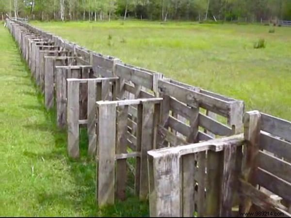 Build a Free DIY Pallet Fence: 4 Simple Steps from an Experienced Gardener