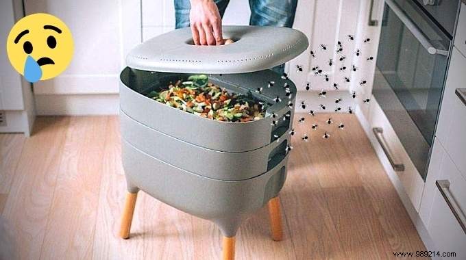 Eliminate Gnats from Your Vermicomposter: 15 Proven Tips for a Pest-Free Bin