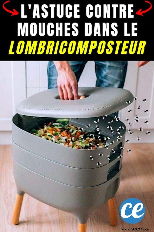 Eliminate Gnats from Your Vermicomposter: 15 Proven Tips for a Pest-Free Bin