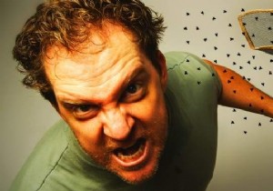 Eliminate Gnats from Your Kitchen Naturally: Proven 70% Alcohol Spray Method