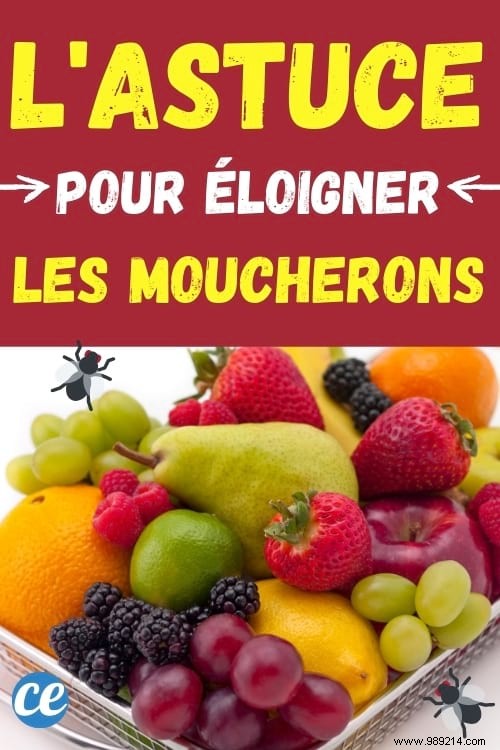 Eliminate Gnats from Your Kitchen Naturally: Proven 70% Alcohol Spray Method