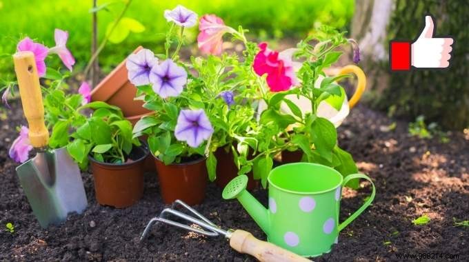 25 Essential Gardening Tips Every Gardener Should Master