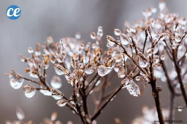 25 Essential Gardening Tips Every Gardener Should Master